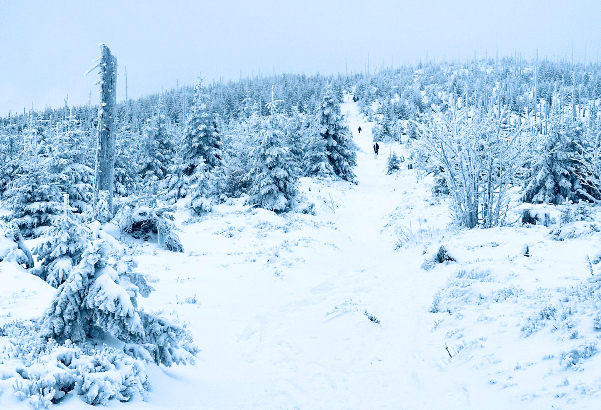 BLOG – úvodní fotky na blogové příspěvky