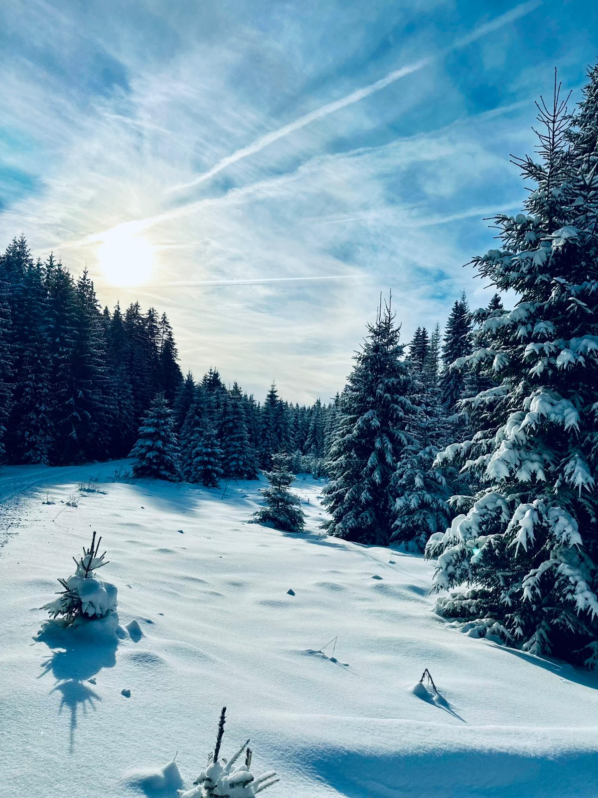 WhatsApp Image 2026-01-05 at 20.55.21 (1)