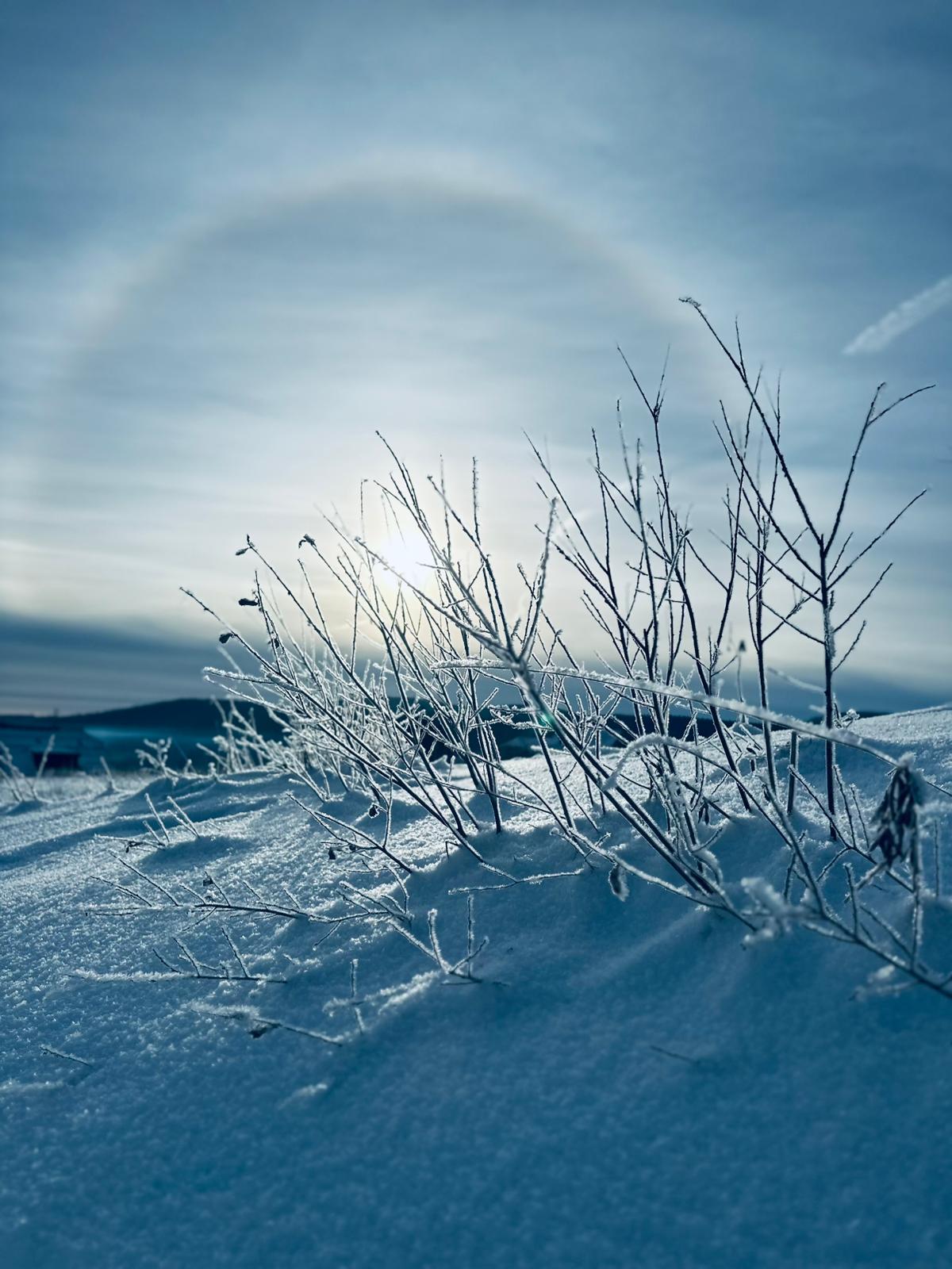 WhatsApp Image 2026-01-06 at 11.58.33